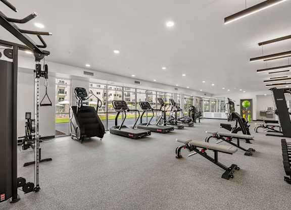 A spacious gym with a variety of equipment including treadmills, weights, and exercise machines.