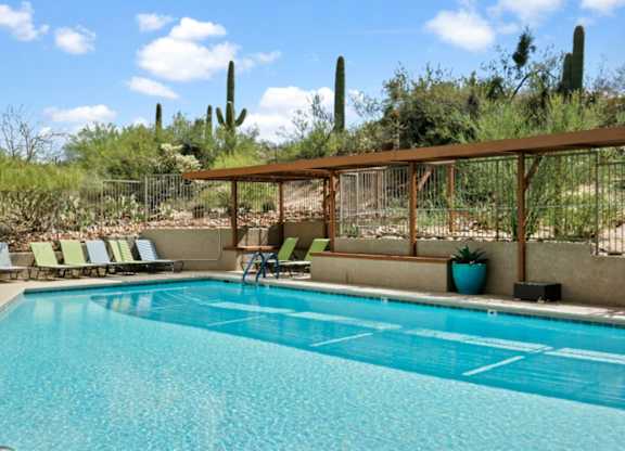 A pool surrounded by a wooden fence and cacti.