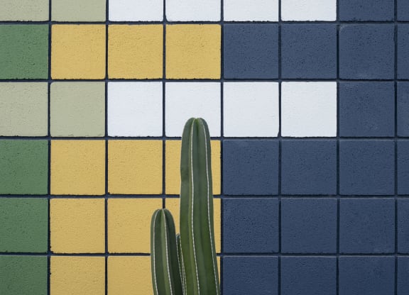 Paint Colors at Cabana Bridges Apartments in Tucson Arizona