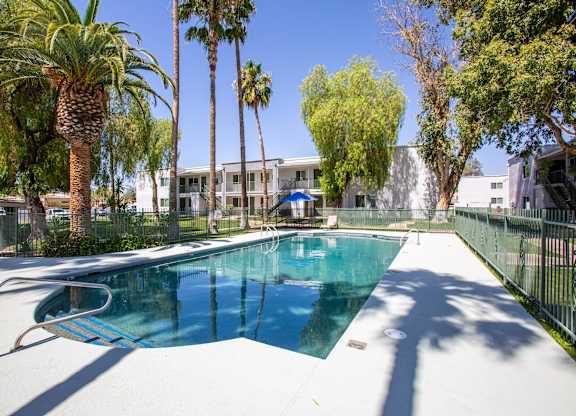A pool surrounded by palm trees and a fence.