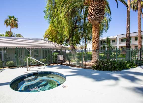 A pool surrounded by palm trees and a fence.