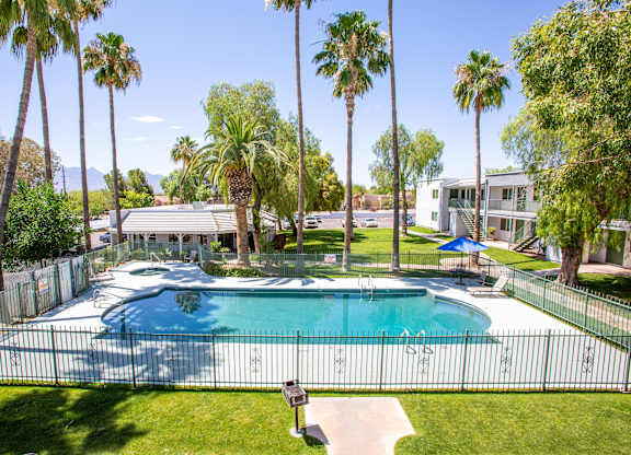 A pool surrounded by a fence and palm trees.