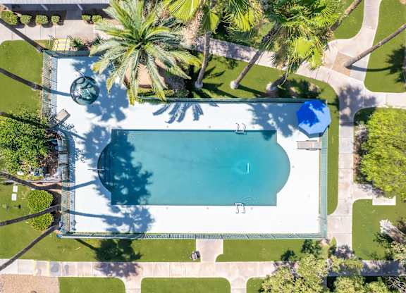 A swimming pool surrounded by palm trees and a white fence.