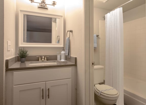 Studio Bathroom at The Link at 4th Ave Apartments in Tucson