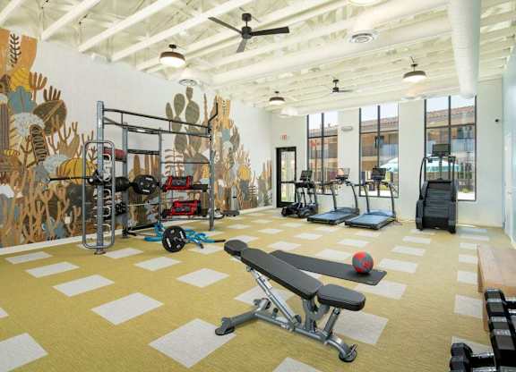 A gym with a variety of equipment including a bench, weights, and a treadmill.