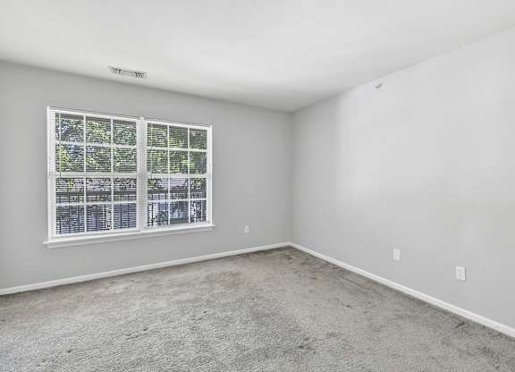 Plush Carpeting at Ardenwood Apartments, North Haven