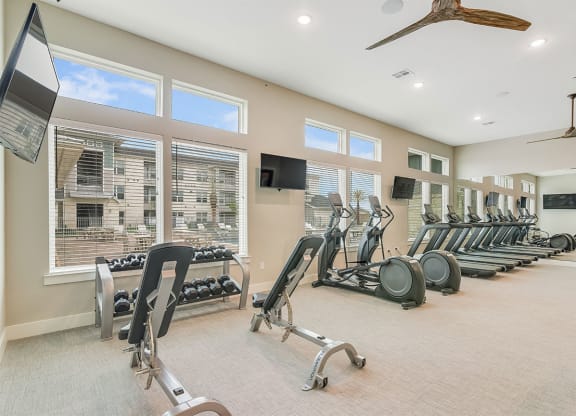 Boterra at Lago Mar Apartments Fitness Center
