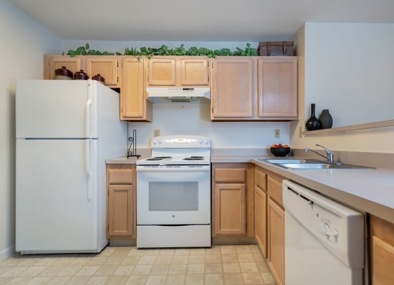 camden place apartments kitchen