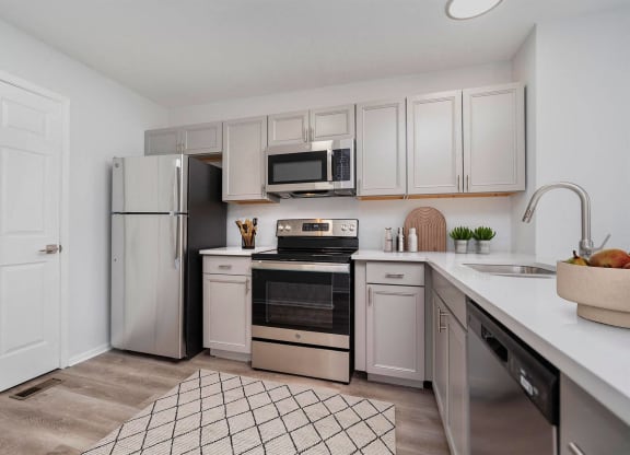 our apartments offer a modern kitchen with stainless steel appliances