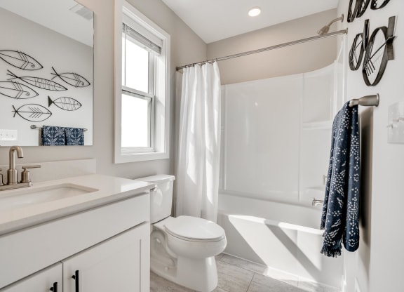 Canvas at St Croix _ Bathroom