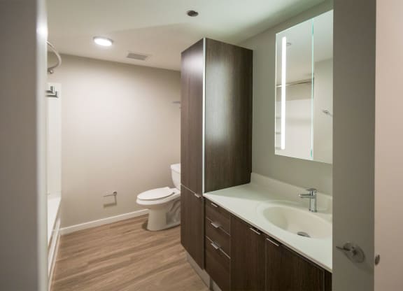 a bathroom with a sink and a toilet