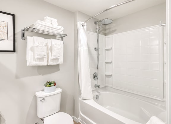 a bathroom with a shower and a toilet and a sink