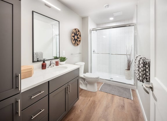 a bathroom with a shower and a sink and a toilet