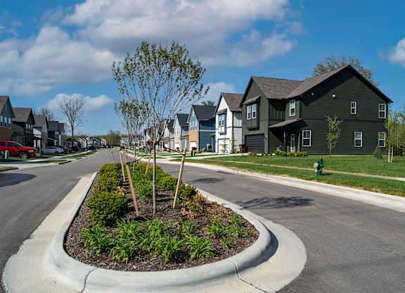A tree in a landscaped planter is in the foreground of a residential street.