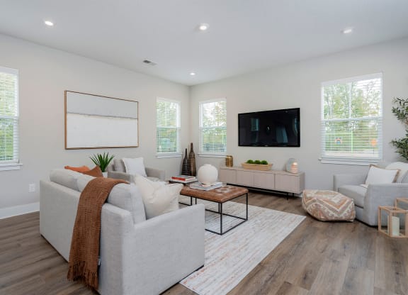 a living room with couches and a tv