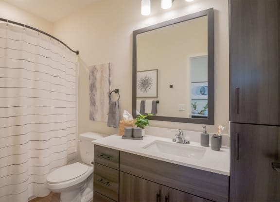 a bathroom with a sink and a shower and a toilet
