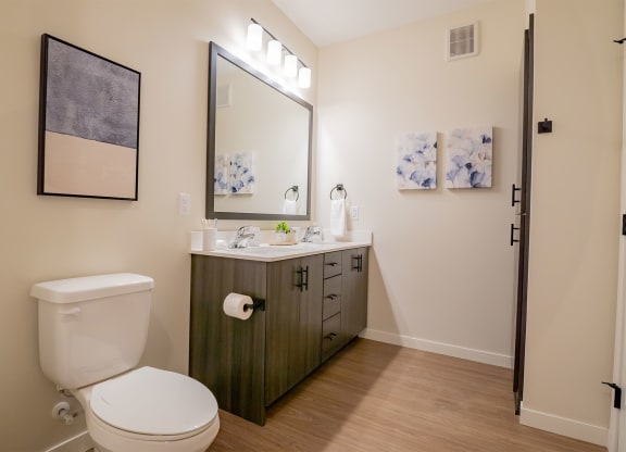 a bathroom with a toilet and a sink and a mirror