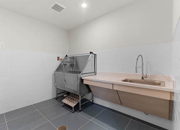 A modern bathroom with a sink and a shower stall.