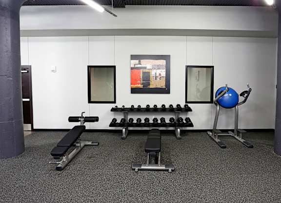 A gym with a bench, weights, and a ball.