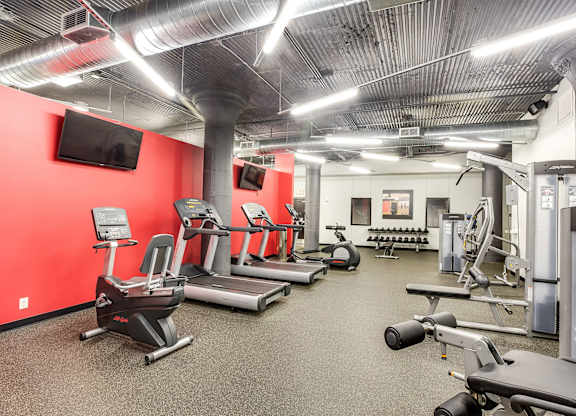 A gym with a variety of equipment including treadmills, elliptical machines, and weight machines.