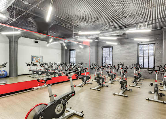 A gym with a row of stationary bikes.