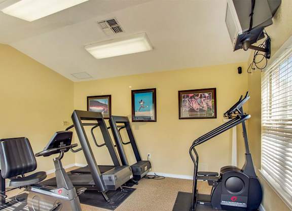 A home gym with a treadmill, stationary bike, and rowing machine.