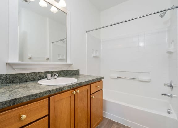 a bathroom with a sink and a shower and a mirror