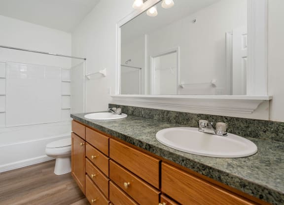 a bathroom with a sink and a toilet and a mirror