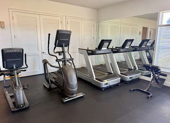 Audubon Oaks Cardio Equipment, Lakeland FL