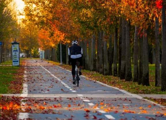 A person is riding a bicycle on a road with fallen leaves.