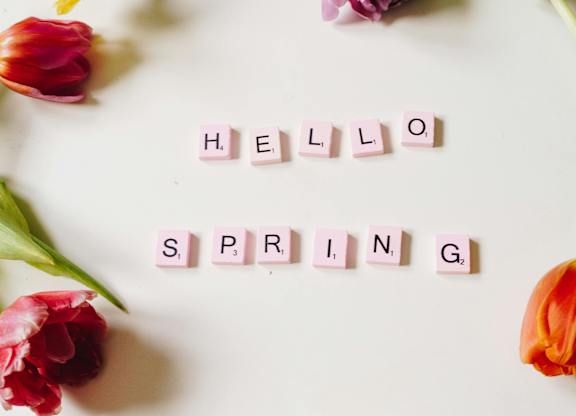 Spring greetings with colorful tulips and wooden letter tiles spelling "Hello Spring".