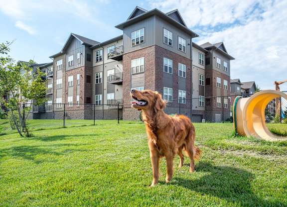 a dog standing in front of an apartment building