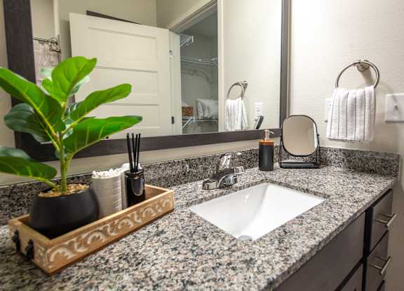 a bathroom sink with a mirror and a potted plant