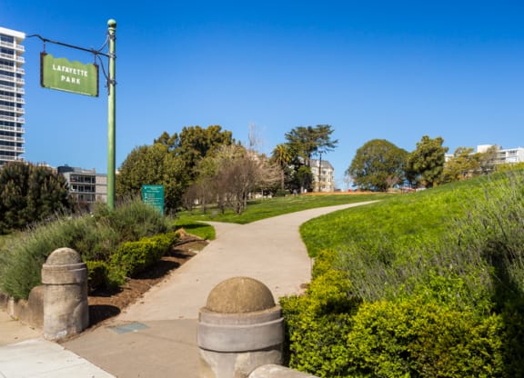 a path through a park with trees and buildings in the background