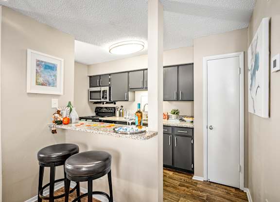 open-concept kitchen with bar at 701 South Apartments in Mobile, AL