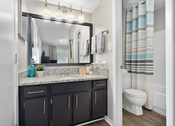 A bathroom with a sink, mirror, and toilet.