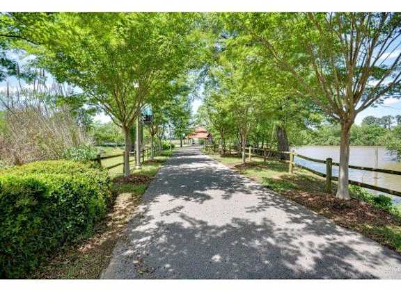 Exterior Landscape at The Tower Apartments, Tuscaloosa, Alabama