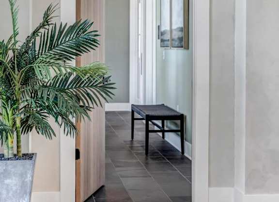 A room with a plant in a pot and a table.