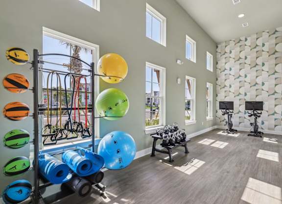 A room with a wall of exercise balls and a rack of exercise equipment.