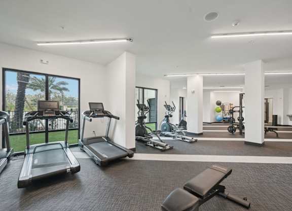 Club-quality fitness center with cardio and strength training equipment at Tapestry University Park in Sarasota, FL
