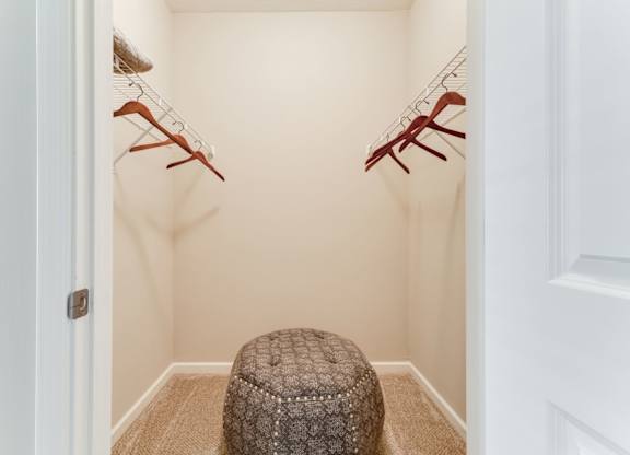 Large Closet Space at Austin Place Apartments