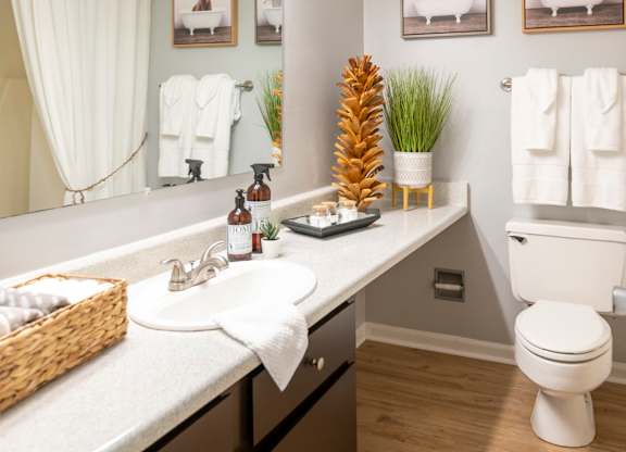 bathroom with oversized vanity at Saddlebrook at Tates Creek Apartments in Lexington, KY