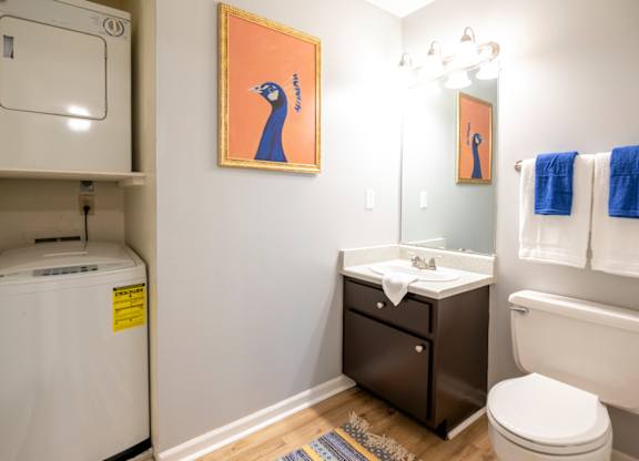 en-suite bathroom with stackable washer/dryer at Saddlebrook at Tates Creek Apartments in Lexington, KY