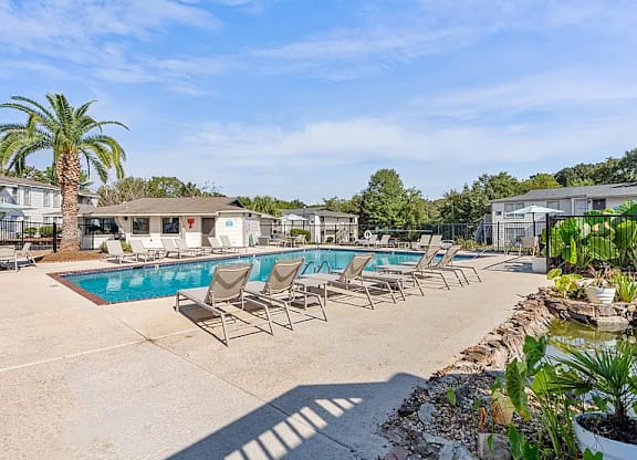 A pool area with chairs and a palm tree.