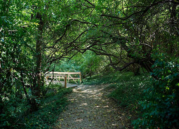 Saddlebrook at Tates Creek