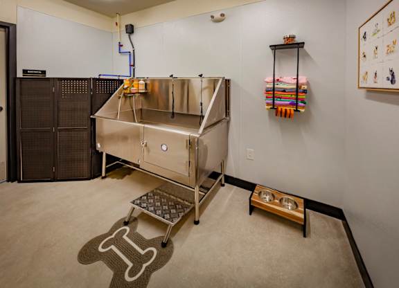 A stainless steel pet spa for dog washing at Wesley Place Apartments in Indianapolis, IN