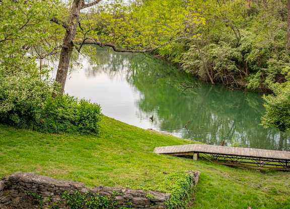 A serene landscape with a tree, a lake, and a wooden bench at Saddlebrook at Tates Creek Apartments in Lexington, KY