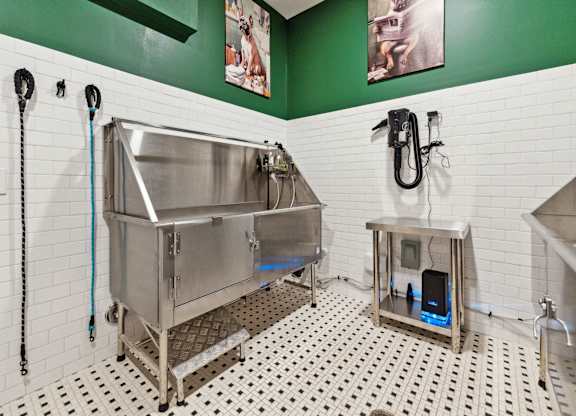 a stainless steel sink in a bathroom with green walls