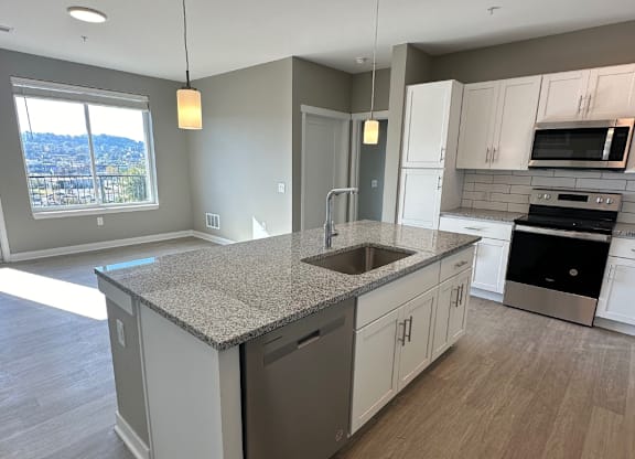 A kitchen with a granite countertop and stainless steel appliances.
