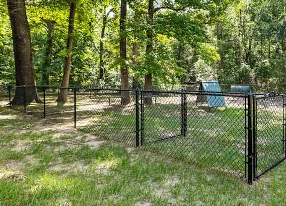 Fenced dog park